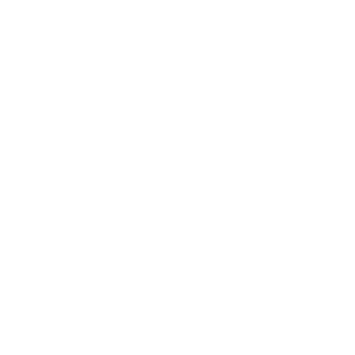 Sunnyfight's emblem