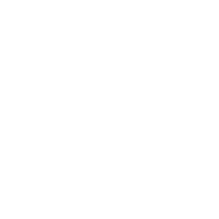 BRNEGRAO's emblem