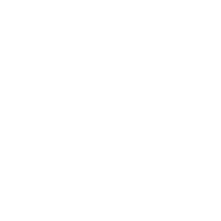 1337Ritlan's emblem