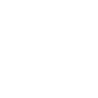 Skinu123's emblem