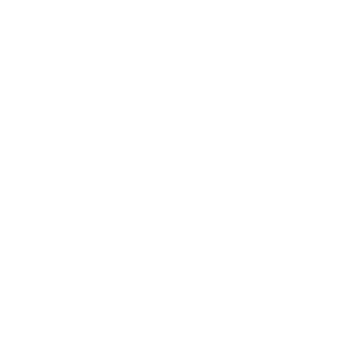 maverick1791's emblem