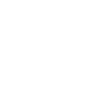 FOEMav's emblem