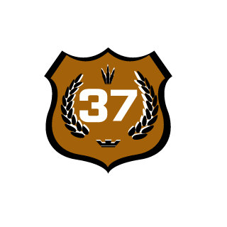 Brainster37's emblem