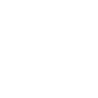 thunderboost650's emblem
