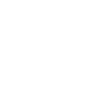 N1ncom's emblem