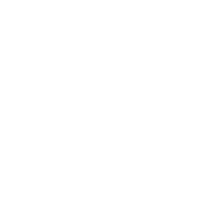 NUCLEAR_WINTER_7's emblem