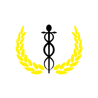 LateFighter's emblem