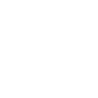 RTXS_INFINT's emblem