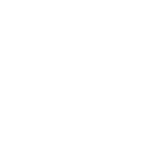 Paiva1532's emblem
