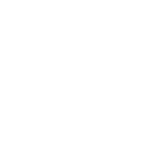 L33v1s's emblem