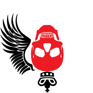 RDSt9k's emblem