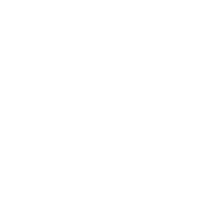 BScammer's emblem