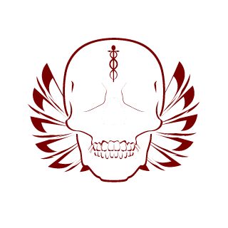 STE4LTHS's emblem