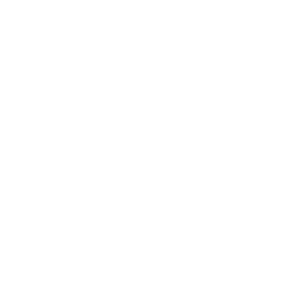 Fireflyz351's emblem