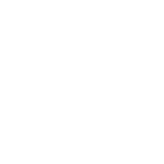 s3lf_dstrukt's emblem