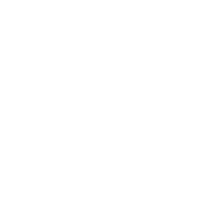 elay_shnitzer's emblem