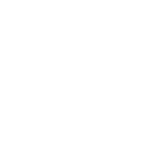 a8e53ef31328b212's emblem