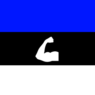 Diiivan21's emblem