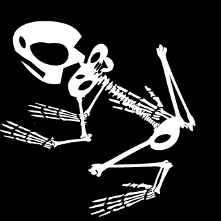 maccie20011970's emblem