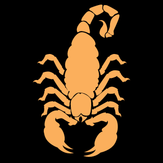 Elcacaseca's emblem