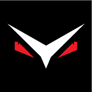 SKYWALKERS's emblem
