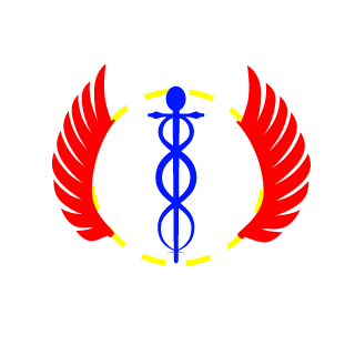 SteelPlayer666's emblem