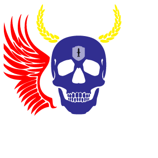 SteveAyo's emblem