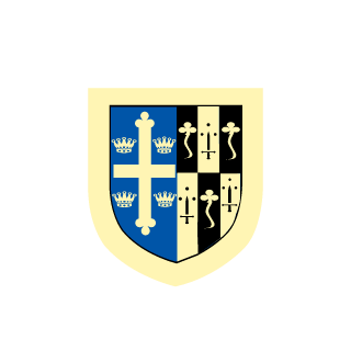 __0clevernoob0__'s emblem