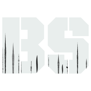 BattleStrats's emblem
