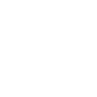 int999999's emblem
