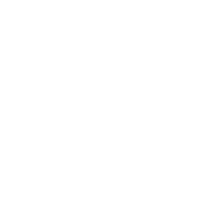 GV_Bordiko's emblem