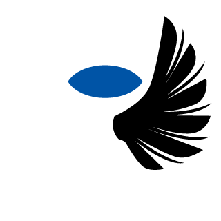 LeoSoulss's emblem