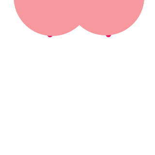 Meewizer's emblem