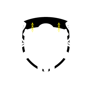 LVanKnethoden's emblem