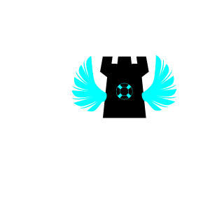STAS0159's emblem