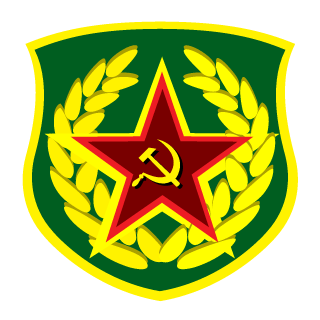 salmiyrvi's emblem