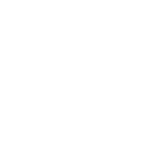 JPN_ShootingStar's emblem