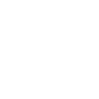 PruNbtualDrngmnt's emblem