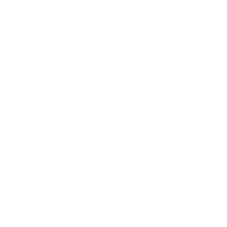 Nexia_exp's emblem