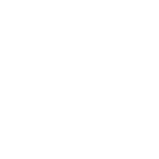 SlikMikk's emblem