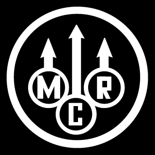 ValkyriesDown's emblem
