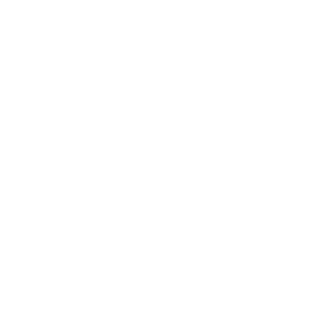 HollowTheDragon's emblem