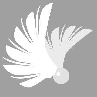 fragileruins's emblem