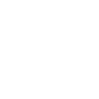 AGNSjp's emblem