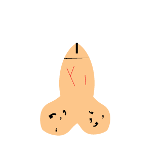 BrownRingGrabber's emblem