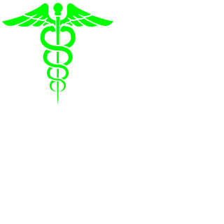 989Matrix989's emblem