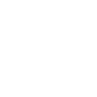 antfy's emblem