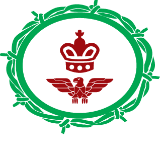 Unknownplayer152's emblem