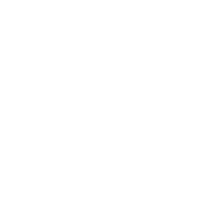 crazydenix's emblem