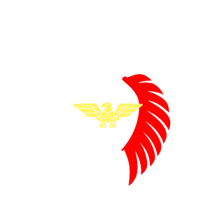 Darrii1994's emblem